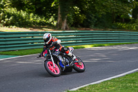 cadwell-no-limits-trackday;cadwell-park;cadwell-park-photographs;cadwell-trackday-photographs;enduro-digital-images;event-digital-images;eventdigitalimages;no-limits-trackdays;peter-wileman-photography;racing-digital-images;trackday-digital-images;trackday-photos